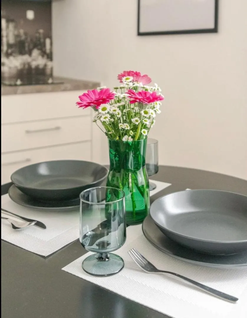 New Apartment In Prague 1